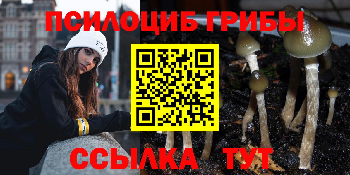 Галлюциногенные грибы MAGIC MUSHROOMS Нижнеудинск