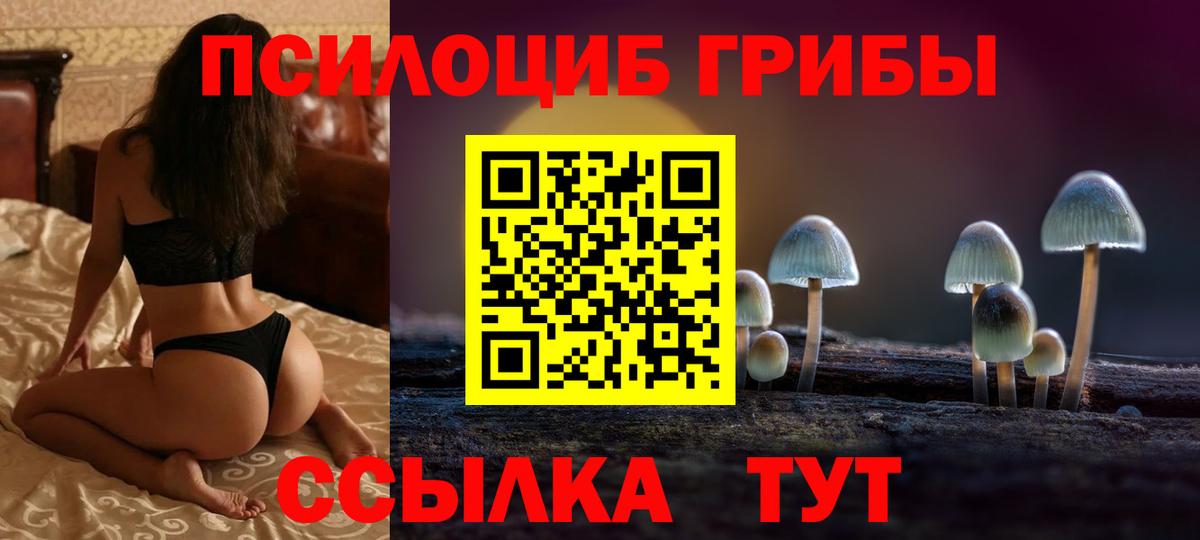 Псилоцибиновые грибы Magic Shrooms  Вход с VPN  купить   Нижнеудинск  Псилоцибиновые грибы Cubensis 